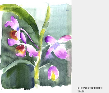 32-kleine-Orchidee--21x29-.jpg